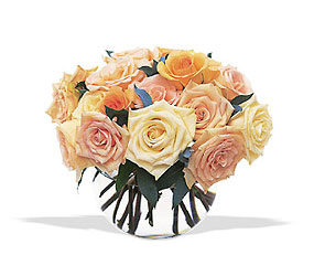 Perfect Pastel Roses from Swindler and Sons Florists in Wilmington, OH
