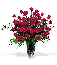Three Dozen Red Roses from Swindler and Sons Florists in Wilmington, OH
