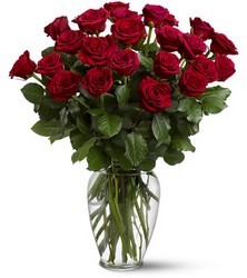 Two Dozen Red Roses from Swindler and Sons Florists in Wilmington, OH