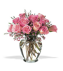 Pretty Pink Roses from Swindler and Sons Florists in Wilmington, OH