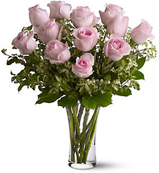 A Dozen Pink Roses from Swindler and Sons Florists in Wilmington, OH