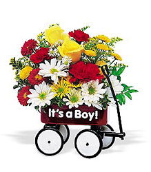Teleflora's Baby's First Wagon from Swindler and Sons Florists in Wilmington, OH