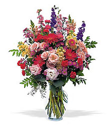 Luxurious Sunshine and Smiles from Swindler and Sons Florists in Wilmington, OH