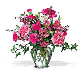 Cheerful Carnations from Swindler and Sons Florists in Wilmington, OH