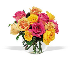 Hot Summer Roses from Swindler and Sons Florists in Wilmington, OH