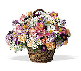 Country Days from Swindler and Sons Florists in Wilmington, OH