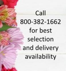 Mother's Day Selection and Availability from Swindler and Sons Florists in Wilmington, OH