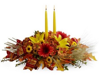 Country Harvest from Swindler and Sons Florists in Wilmington, OH